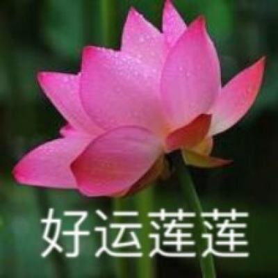 硬核联盟放开那三国2官方下载