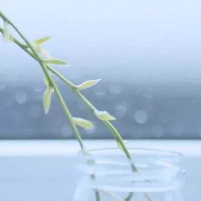天下狂刀内购破解版下载